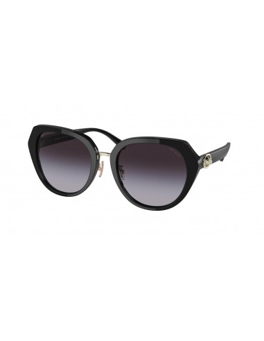 Coach C6189 8331 Sunglasses en linge