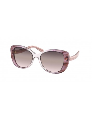 Coach C6183 8322 Sunglasses du meilleur 