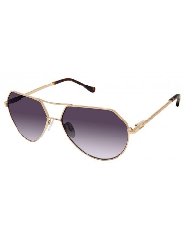 Buffalo by David Bitton BWS008 Sunglasses l'évolution des habitudes 