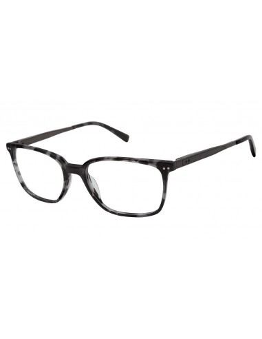 Ted Baker TM003 Eyeglasses en stock