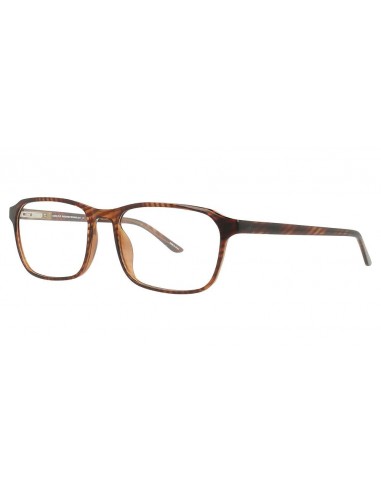 Cool Clip CC849 Eyeglasses les ctes