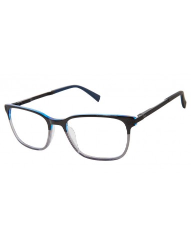 Ted Baker TFM007 Eyeglasses 2023