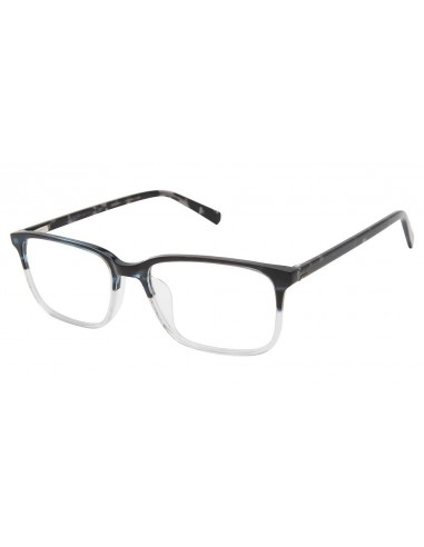 Ted Baker TMUF003 Eyeglasses store