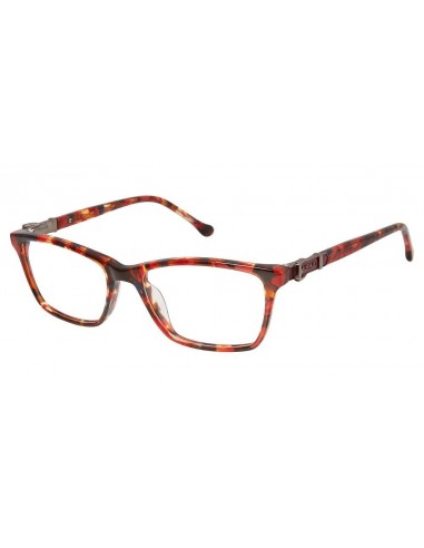 Buffalo by David Bitton BW002 Eyeglasses sélection de produits