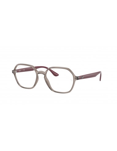 Ray-Ban 4361VF Eyeglasses Les êtres humains sont 