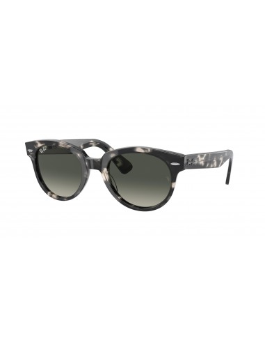 Ray-Ban Orion 2199F Sunglasses Véritable concentré