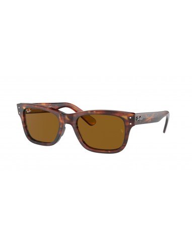 Ray-Ban Mr Burbank 2283 Sunglasses Les êtres humains sont 